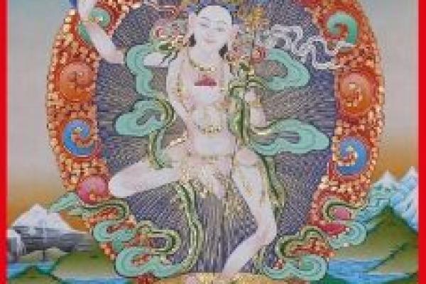 瑜伽五行分类解析与属性探究