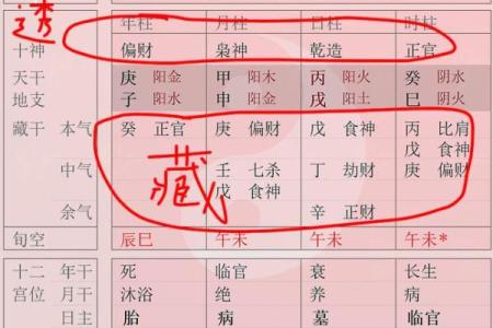 天干地支图解与传统命理的深刻联系解析