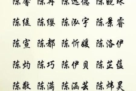 鸡年陈姓宝宝取名推荐：吉祥与祝福并存的名字选择