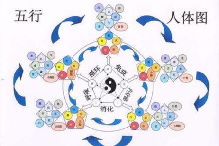 文五行与中国古代文化的深层联系解析