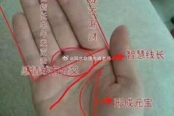 拍照识别手相，科技让命运更清晰可见