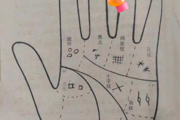 拍照识别手相，科技让命运更清晰可见