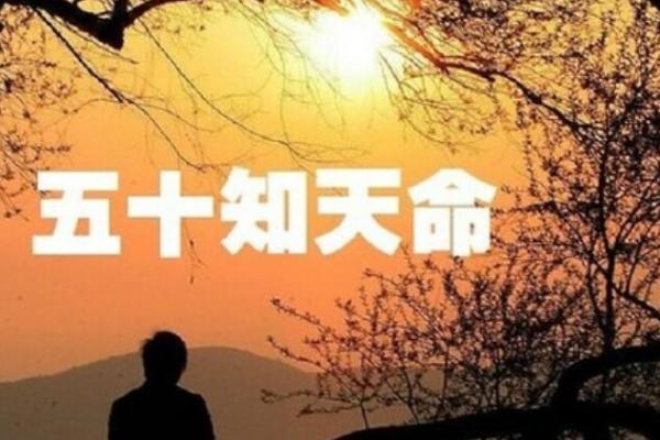 什么是中等命？探究命运的平衡与不确定性