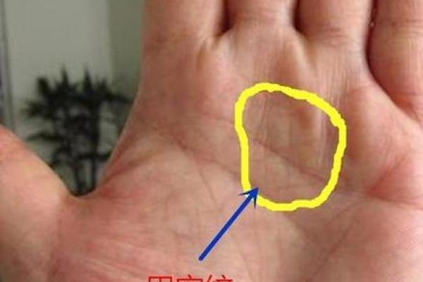 识别好运与劫数：运气手相对照你的命运密码