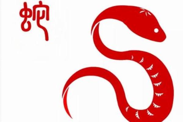 什么是贵妃命：探讨命运中的贵气与非凡之道
