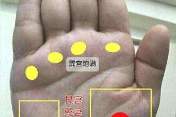 手相的种类有哪些？揭示每种手相的特征与含义