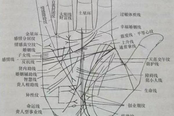 手相的种类有哪些？揭示每种手相的特征与含义