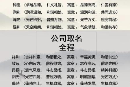 免费公司起名网大全：精准命名助力企业发展