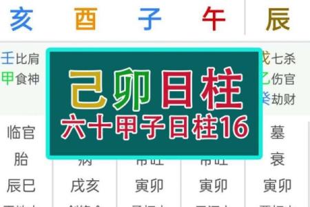 乙巳日主的命理解析与性格特点分析