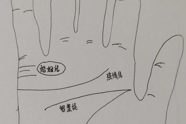 手相分类详解：从生命线到智慧线的多样性