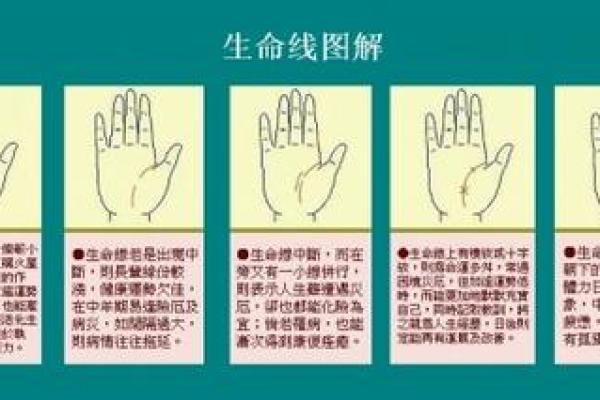 手相分类详解：从生命线到智慧线的多样性