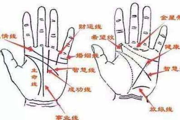 如何通过手相女图了解你的爱情与事业运势