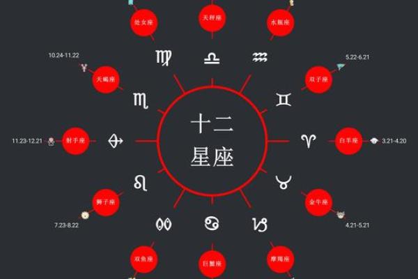 手机排盘解读：星座、八字与命运的全方位解析