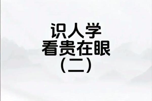 八字排盘安装指南：一步步教你轻松搭建个人命理系统