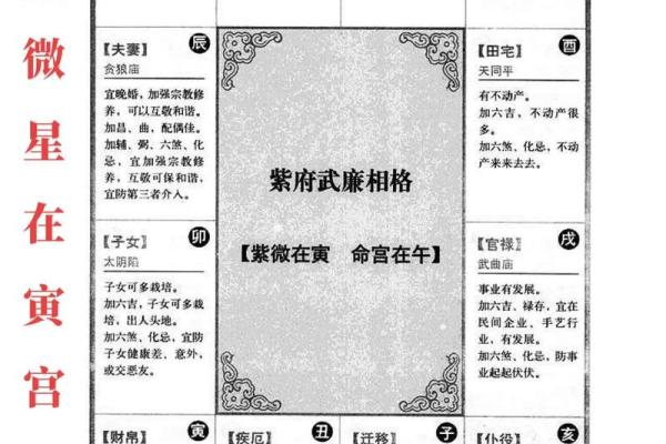 紫薇排盘怎么看：图解教你如何读懂命盘