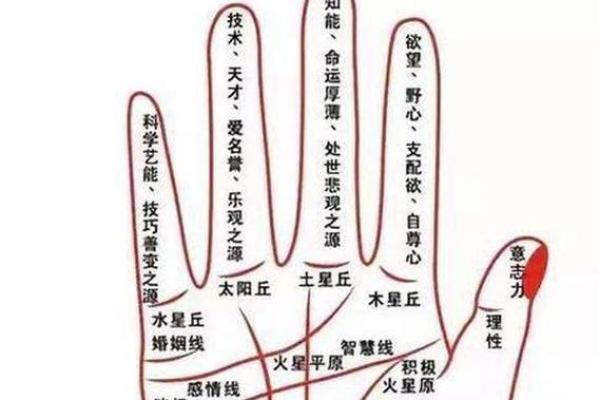 深度解读通关手相图：命运与成功的指纹
