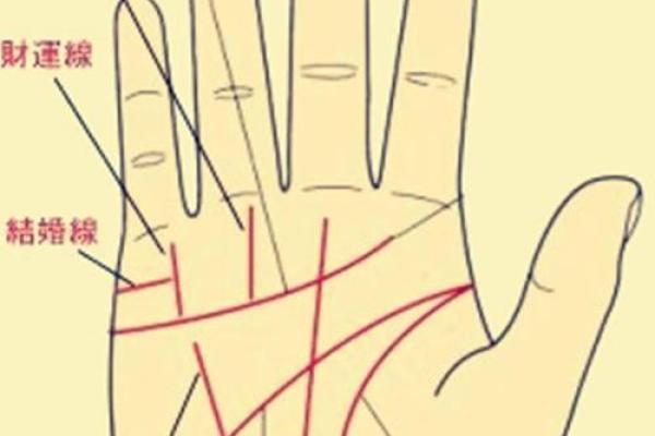 深度解读通关手相图：命运与成功的指纹