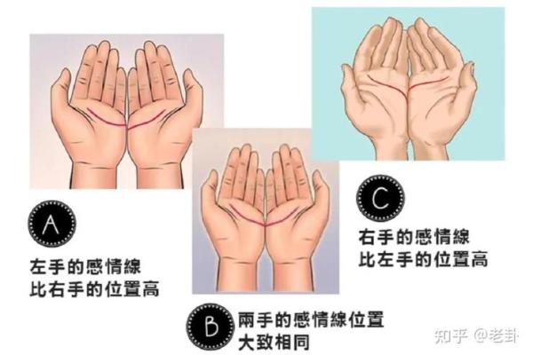 如何通过手相解读你的命运与性格