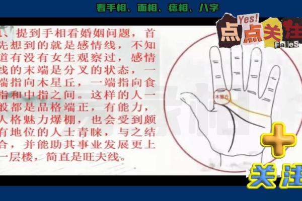 如何通过手相解读你的命运与性格