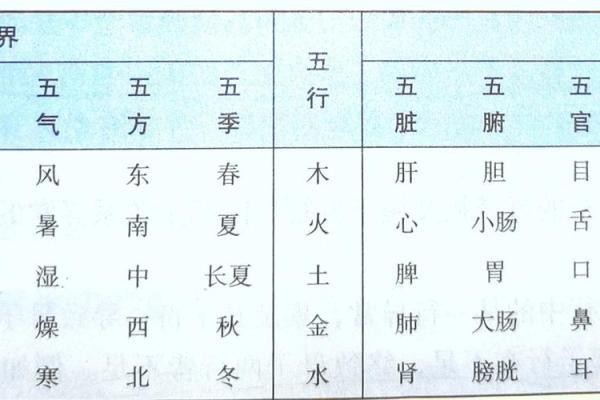 五脏与五行的深度关系解析：探索中医理论中的身体平衡奥秘