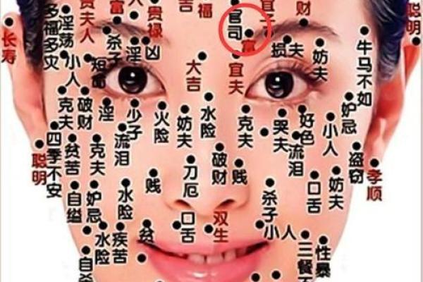 正确眉形对面部风水的影响