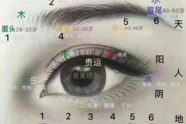 正确眉形对面部风水的影响