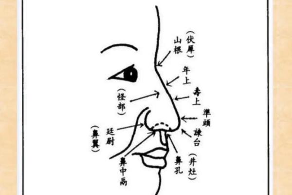 痣相字解密：从面相看命运与性格的深层联系
