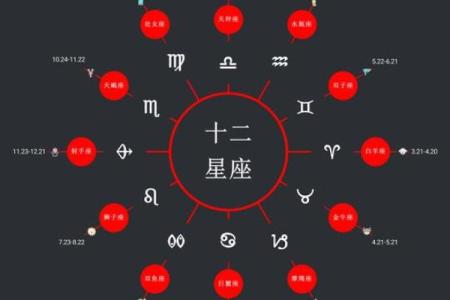 手机排盘解读：星座、八字与命运的全方位解析