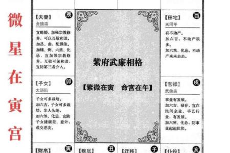 紫薇排盘怎么看：图解教你如何读懂命盘