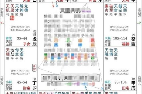 紫薇排盘解读：如何通过命盘揭示个人命运轨迹