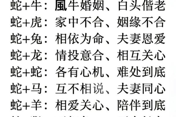 水命属相的最佳事业与婚配指南