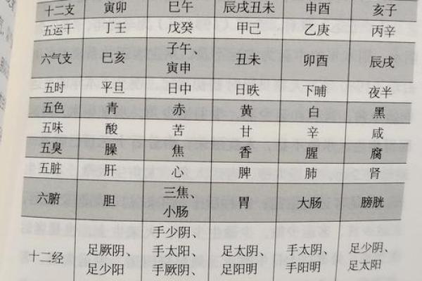 出生的人五行属性解析