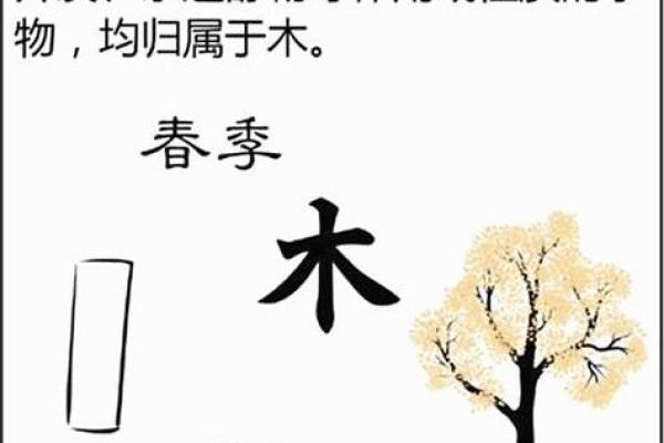 莫字五行属性解析及其命理影响