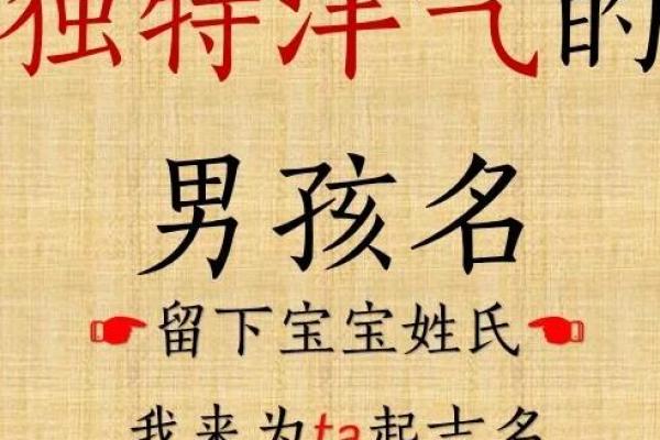 鸡年男宝宝起名指南 缺木命名法则与寓意
