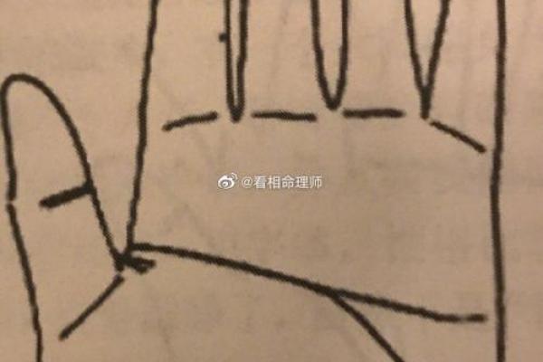 深入分析面相与手相的预测准确性