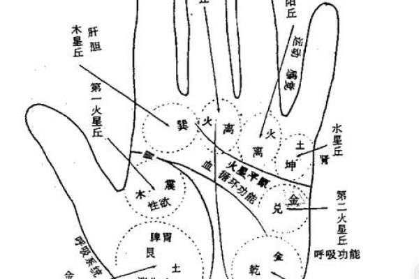 如何从手相解读女性离婚的心理与命运