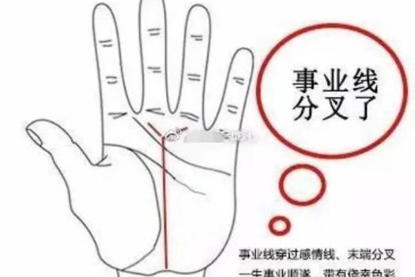 深度解析手相中的事业线与职业成就
