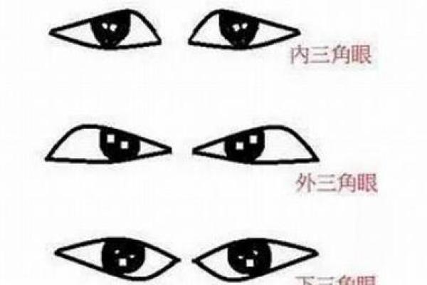 眼睛八字痕的形成原因与去除方法解析