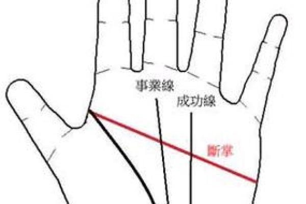女人假断掌手相解析与图解分析