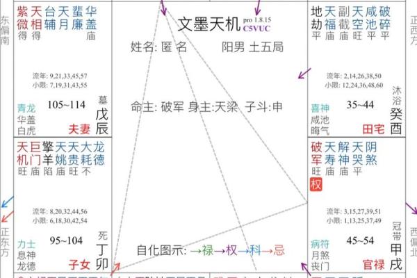紫微斗数在线排盘教程：深入解析如何解读命盘中的各大要素