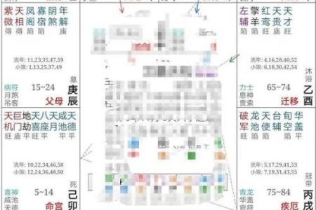 紫薇排盘解读：如何通过命盘揭示个人命运轨迹