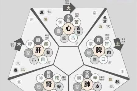 出生的人五行属性解析