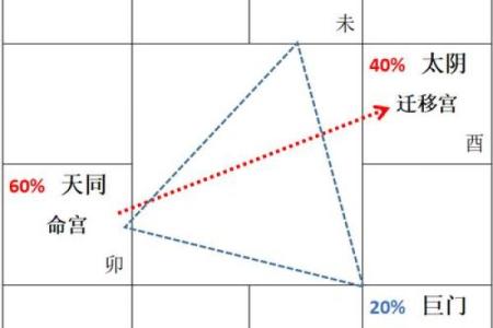 紫薇排盘图解指南：掌握基本方法与技巧