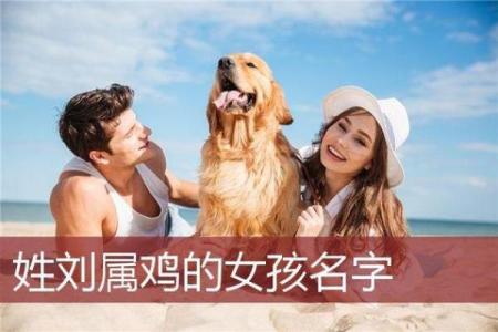 鸡年男宝宝取名指南 适合鸡年男孩的吉祥名字推荐