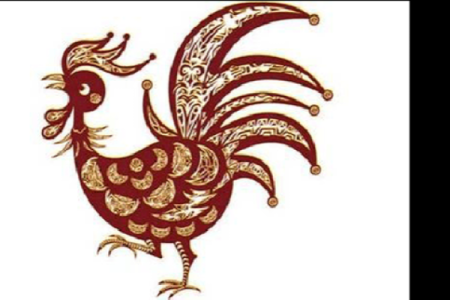 鸡宝宝命名技巧，助力孩子未来发展