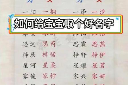 狗年男宝宝名字精选与寓意解析
