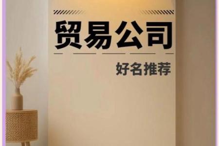 如何为公司产品创意起名提升品牌价值