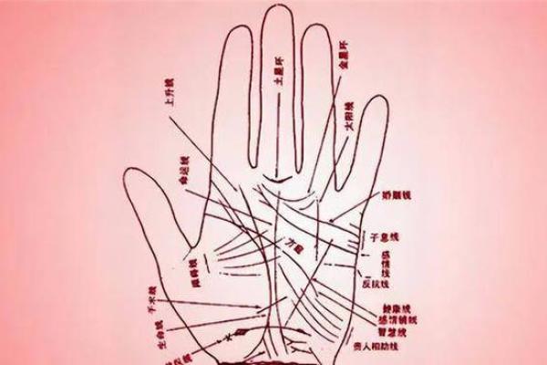 手相暗示的健康警告与预兆解析