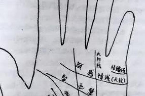 如何通过手相判断自己是否适合创业