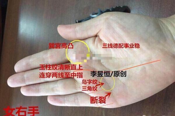 女人手相揭示一生财运的秘密与趋势